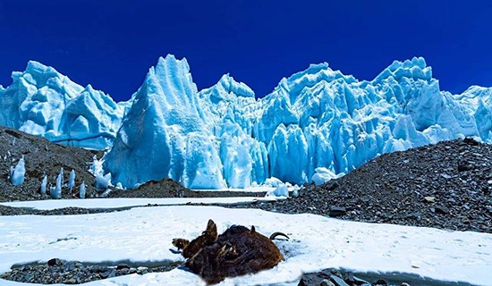 Rongbuk Gletscher