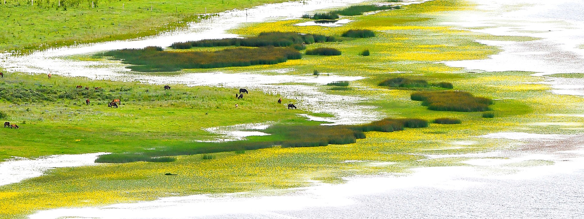 Tibet Luxusreisen