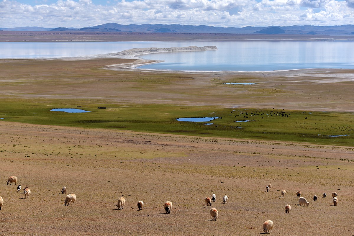 Qiangtang Nationales Naturschutzgebiet