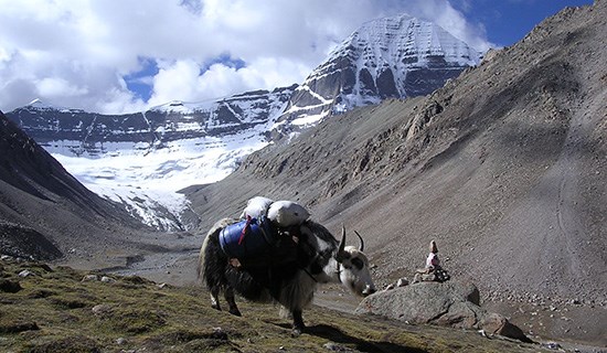 Tibet Trekking um Kailash mit Everest und Tsada