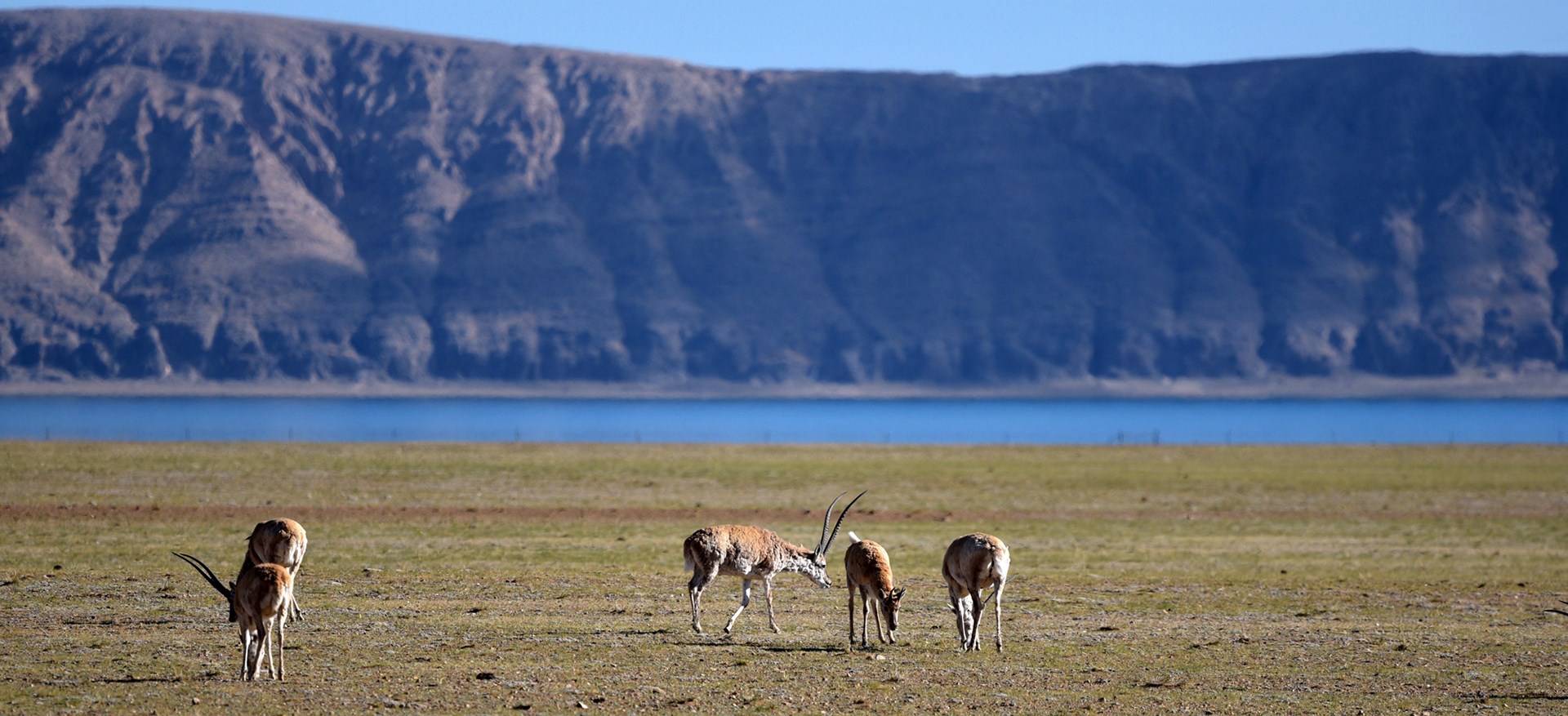 Abenteuerreise durch Nordtibet Qiangtang zum Kailash in Westtibet