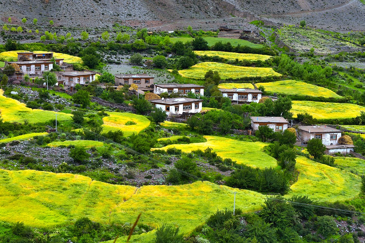 Dorf in Baxoi | Foto von Liu Bin