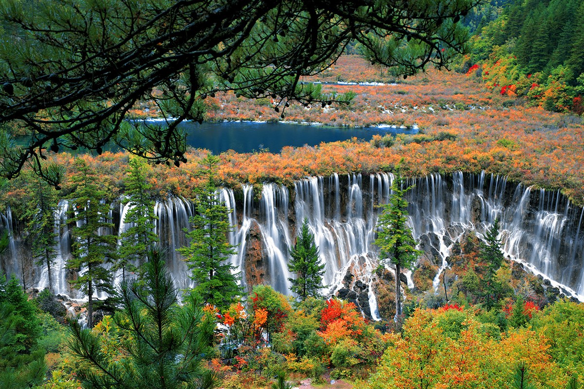Jiuzhaigou National Park | Foto von Wang Ning