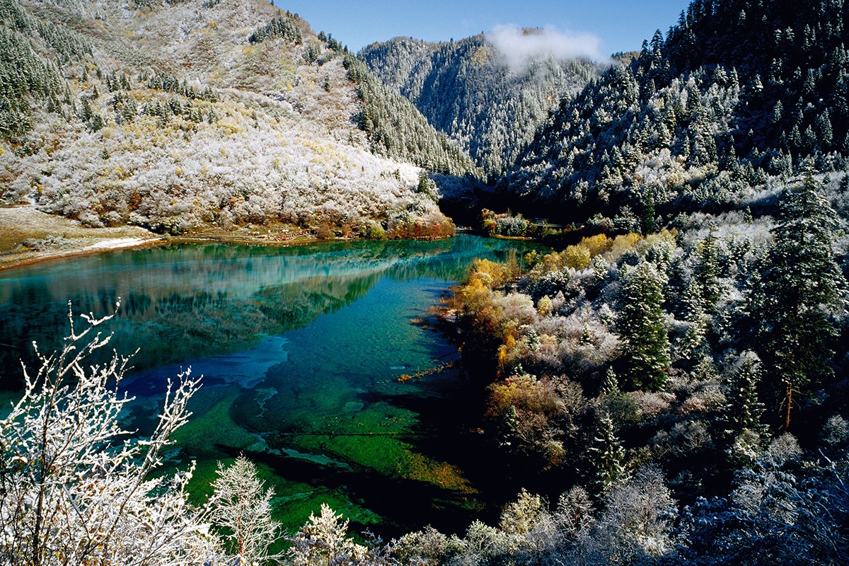 Jiuzhaigou National Park | Foto von Wang Ning