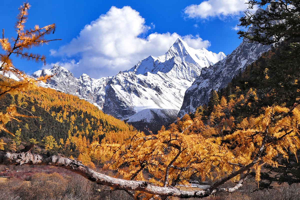 Xialuoduoji in Yading | Foto von Wang Lei
