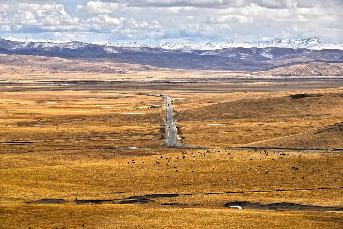  Foto von Liu Bin