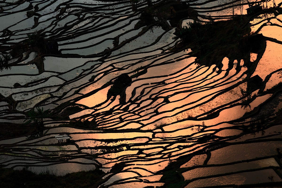 Yuanyang Terrace | Foto von Min Zhao