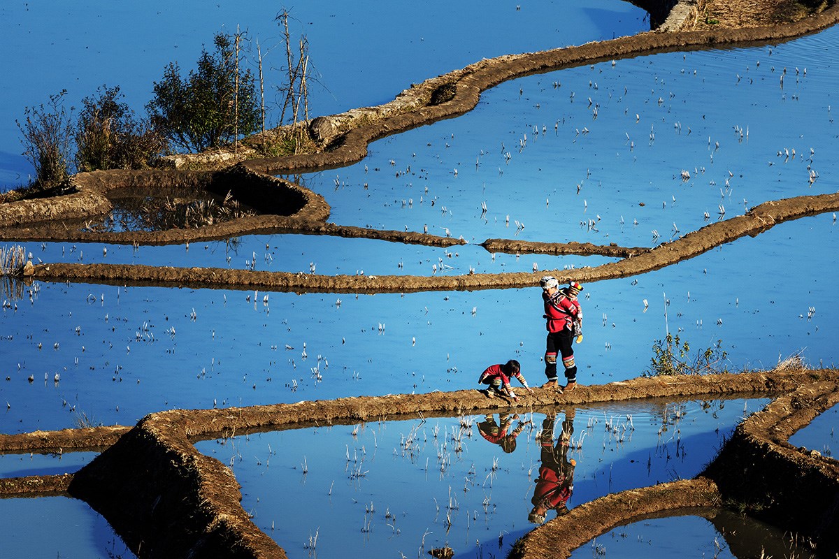 Yuanyang Terrace | Foto von Min Zhao