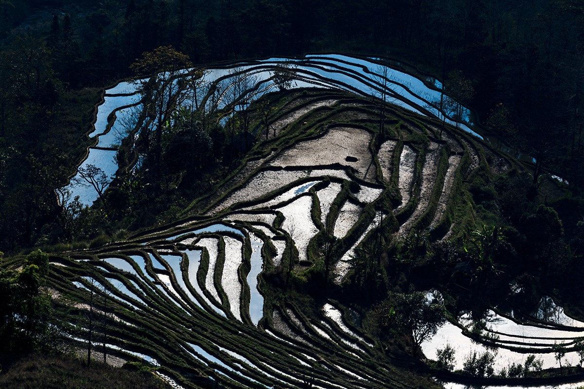 Yuanyang Terrace | Foto von Min Zhao