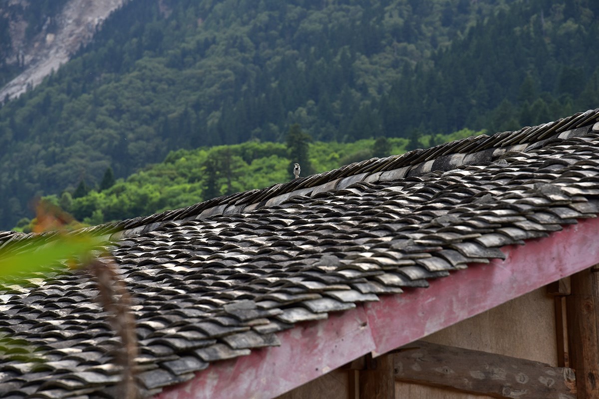 Tibetan Haus | Foto von Liu Bin
