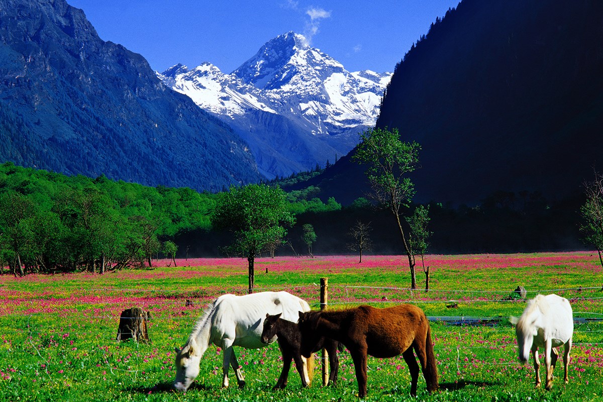 Abi Peak in Shuangqiaogou | Foto von Huang Jizhou