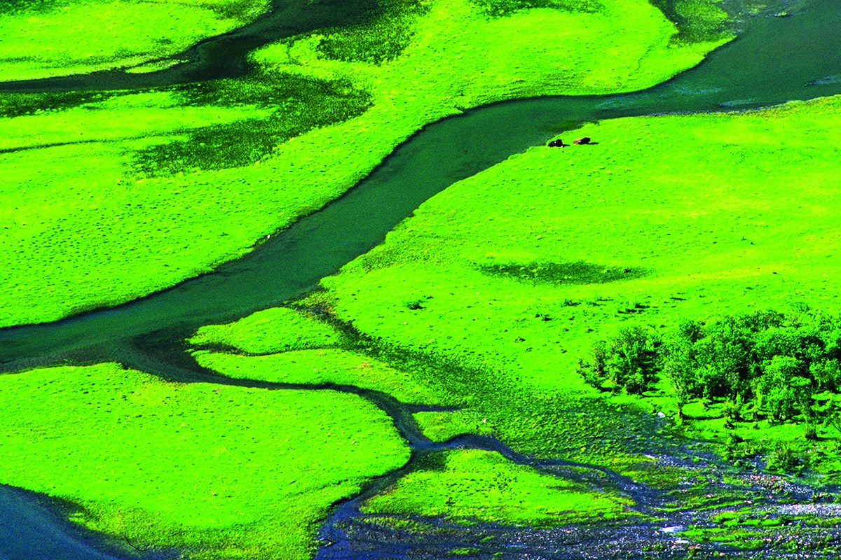 Summer of Haizigou | Foto von Huang Jizhou