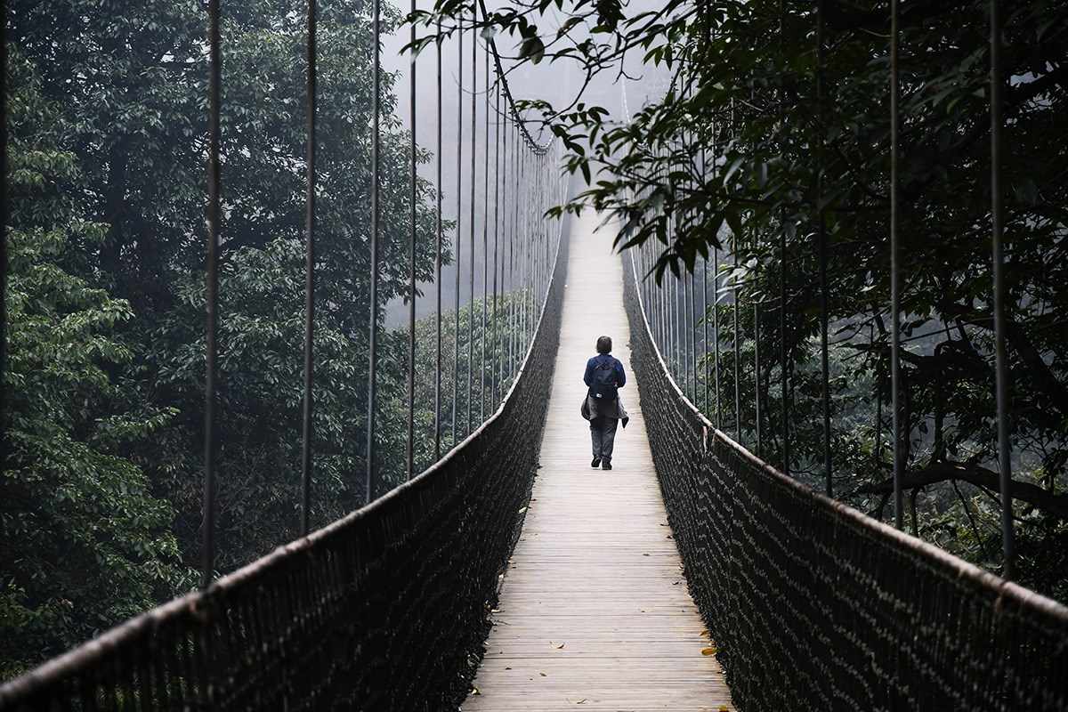 Mengding Mountain | Foto von Liu Bin