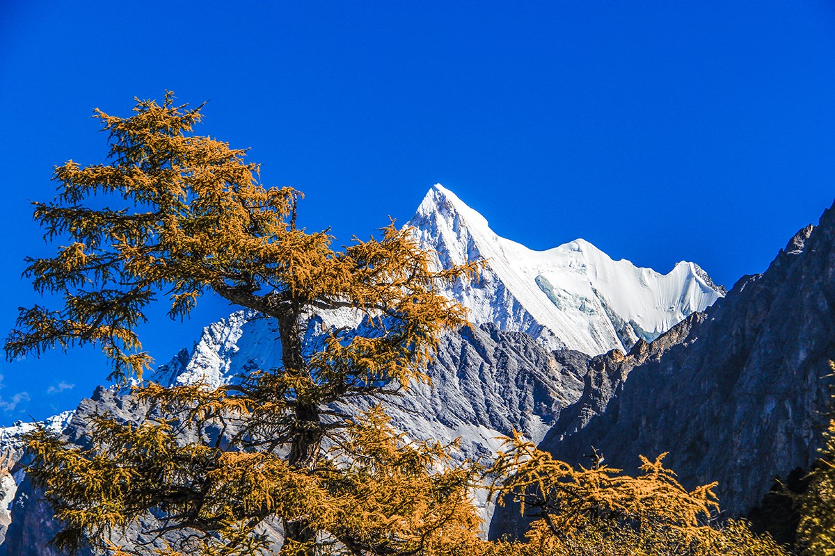 Xialuoduoji Mountain in Yading 