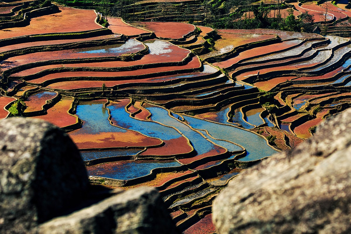 Yuanyang Terrasse | Foto von Min Zhao