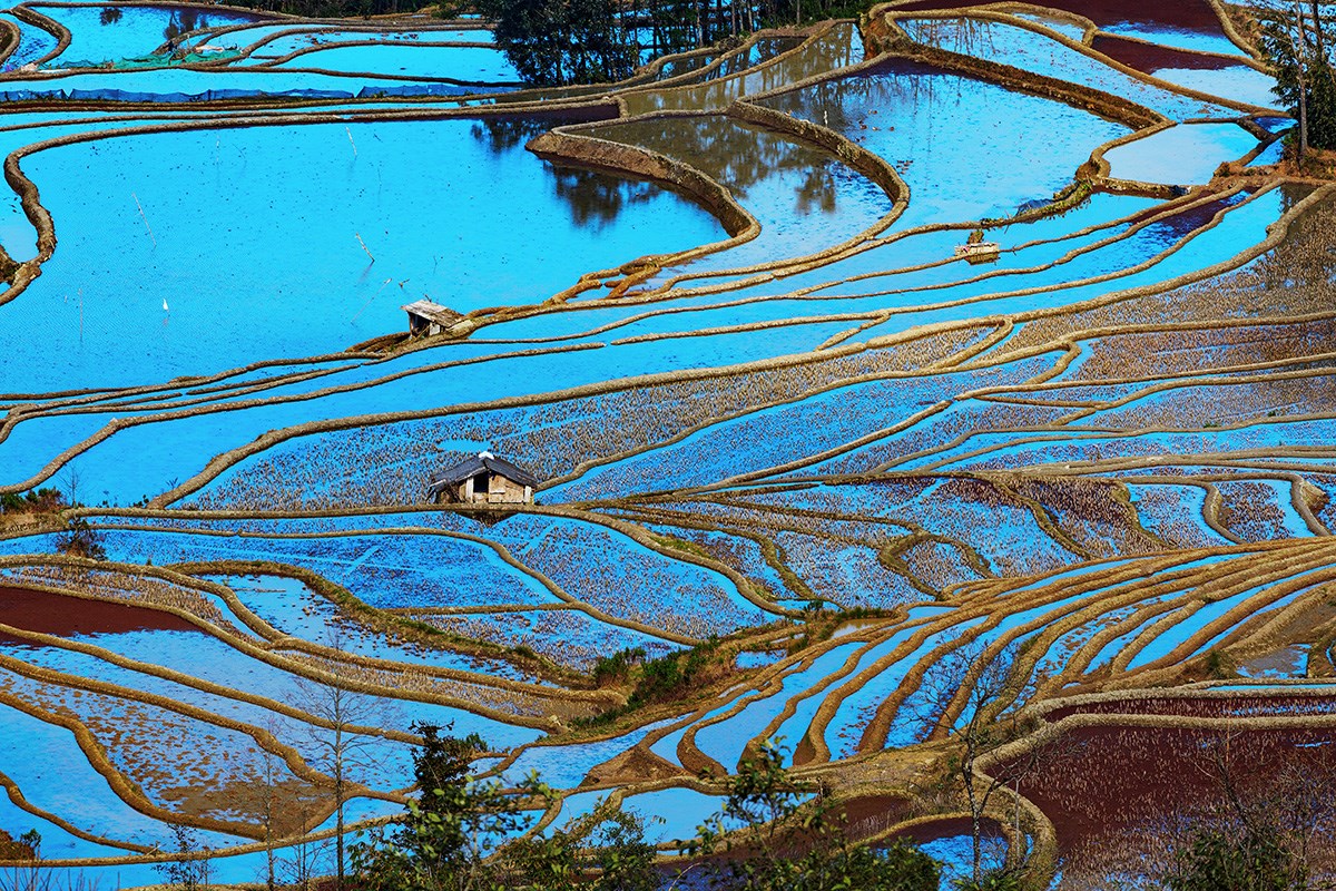 Yuanyang Terrasse | Foto von Min Zhao