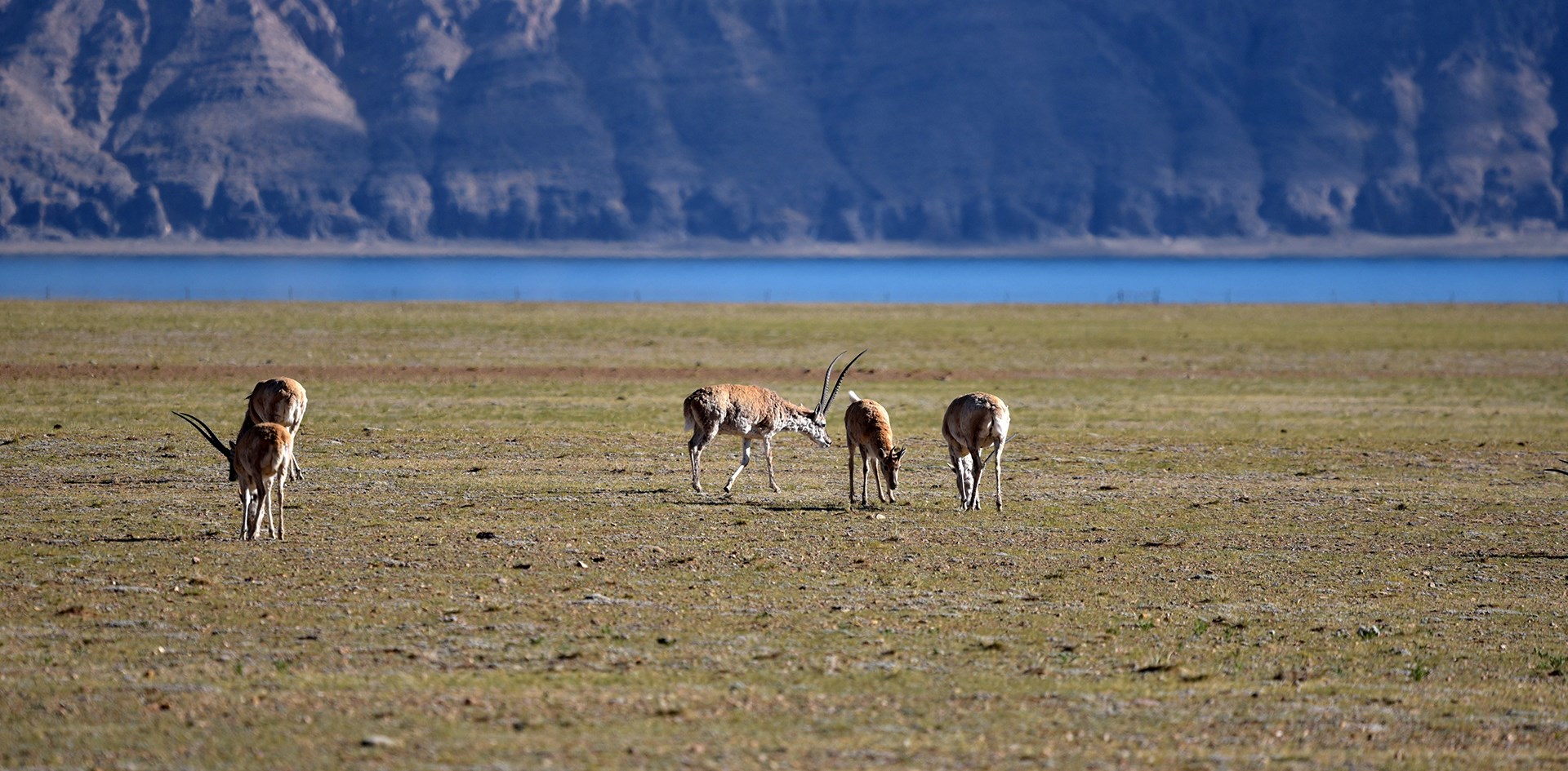 Selbstfahrerreisen nach Nordtibet und zum Kailash