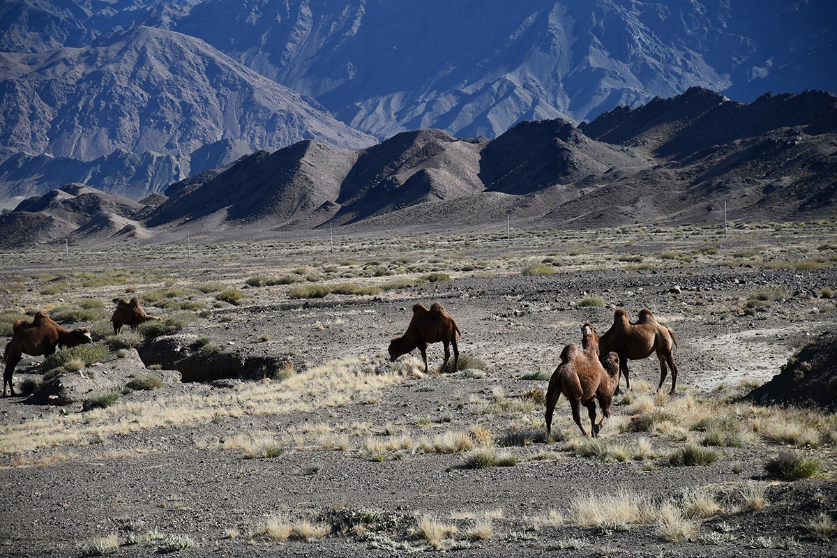 Landscape of Tianshan | Foto von Liu Bin